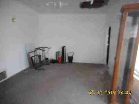 8266 Badger (24)_m.jpg